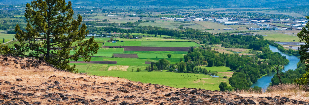 A quick guide to Medford and beyond